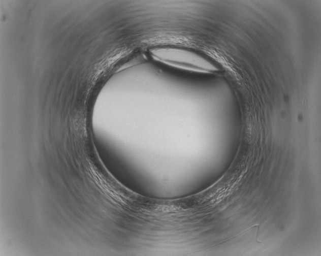 X0000058120399200510171315