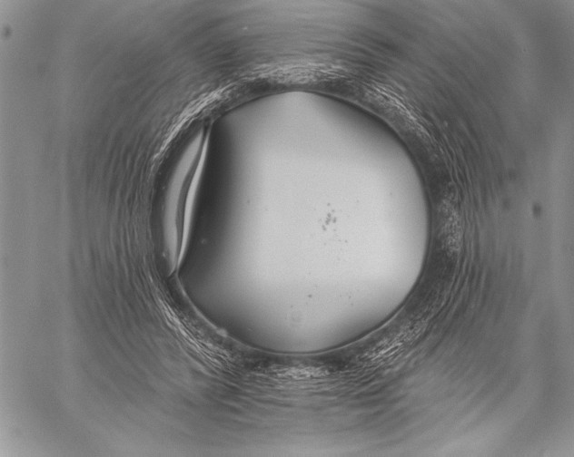 X0000058120400200510171315