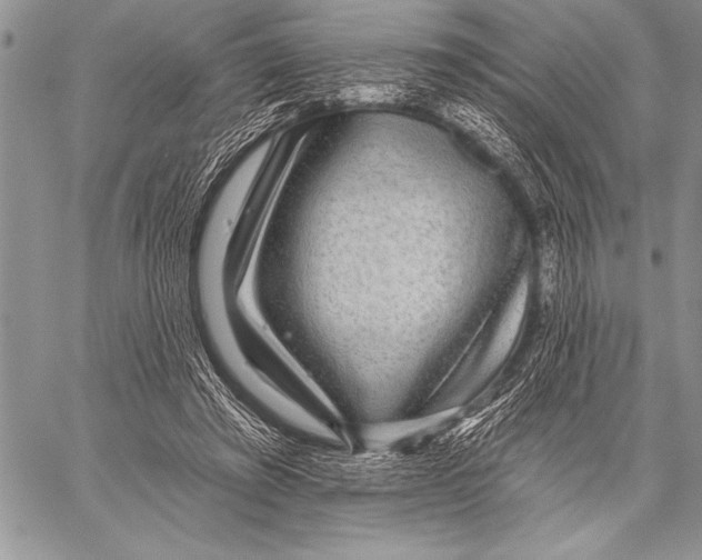 X0000058120401200510171315