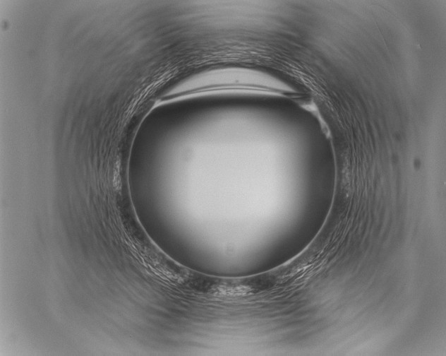 X0000058120403200510171315