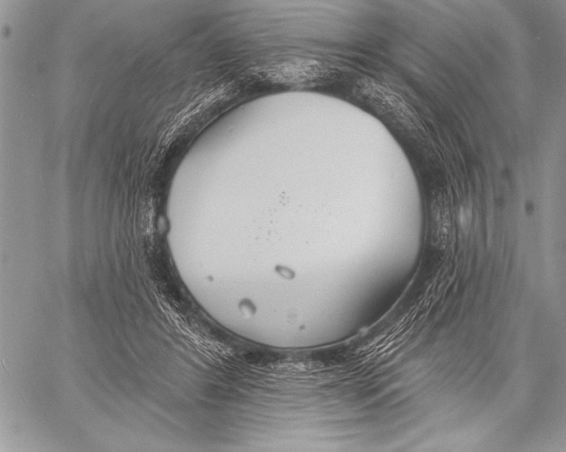 X0000058120404200510171315