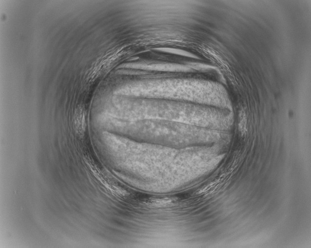 X0000058120405200510171315