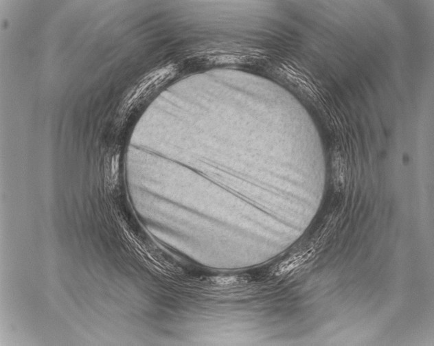 X0000058120406200510171315