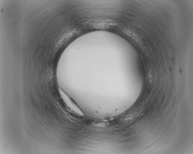 X0000058120407200510171315