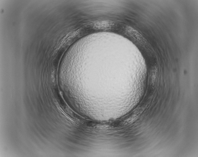 X0000058120408200510171315