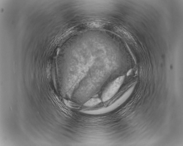 X0000058120409200510171315