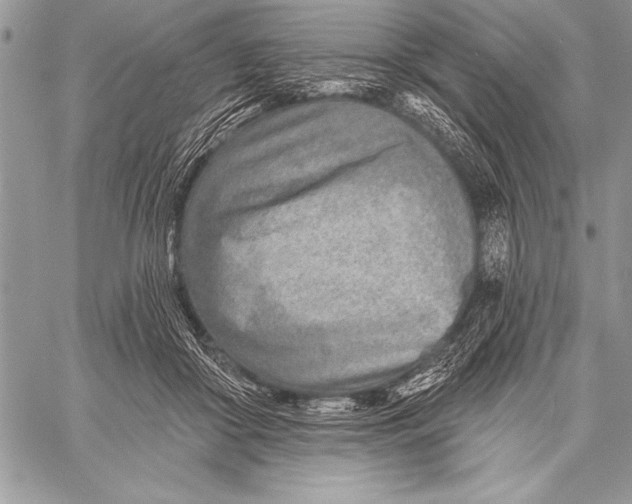 X0000058120410200510171315