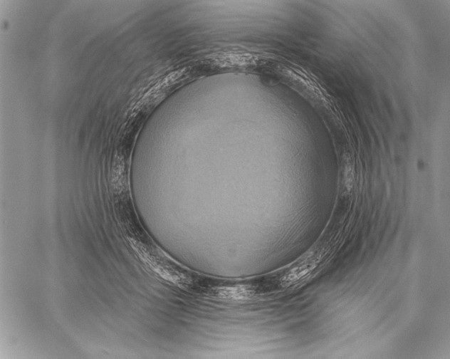 X0000058120411200510171315