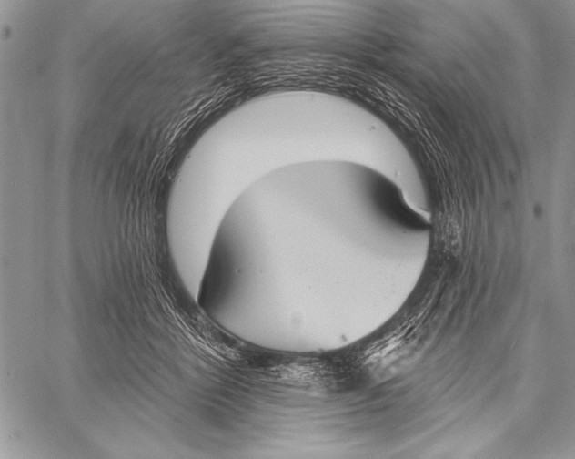 X0000058120412200510171315