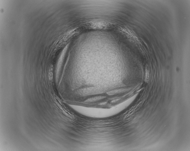 X0000058120413200510171315