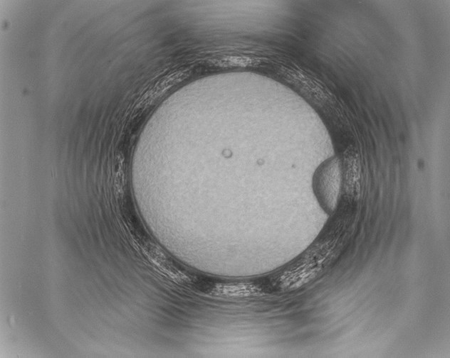 X0000058120414200510171315