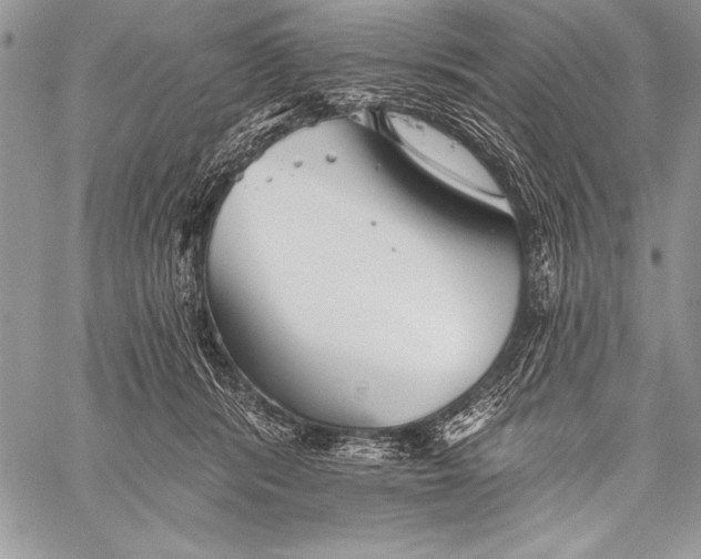 X0000058120416200510171315