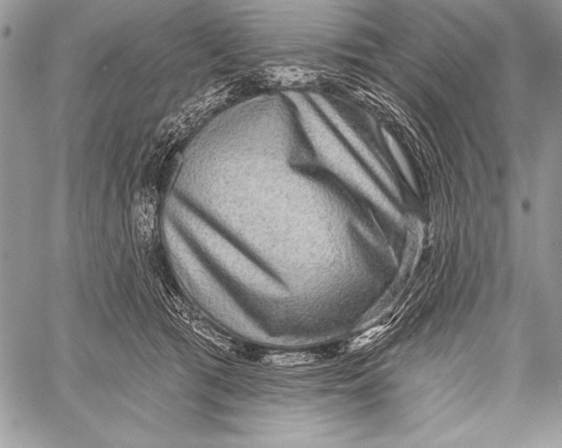 X0000058120417200510171315