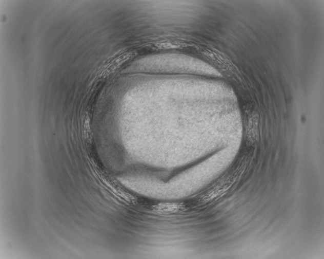 X0000058120418200510171315