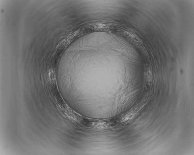 X0000058120419200510171315