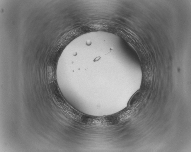 X0000058120420200510171315