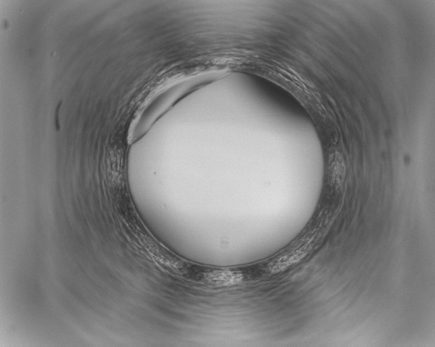 X0000058120421200510171315