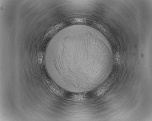 X0000058120423200510171315