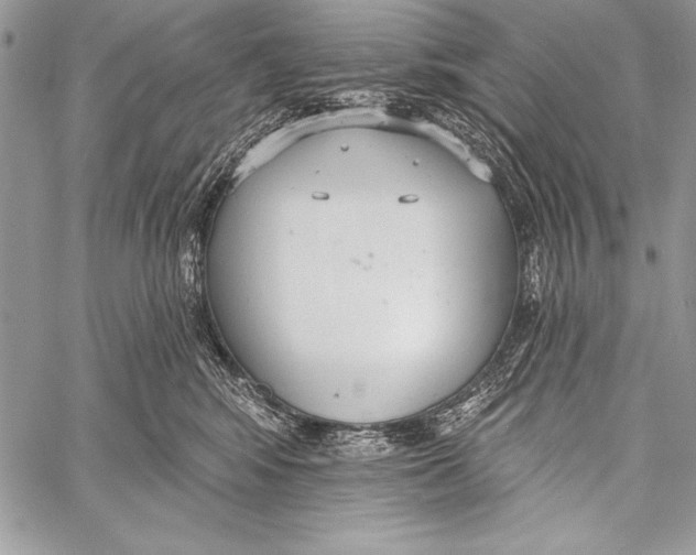 X0000058120424200510171315