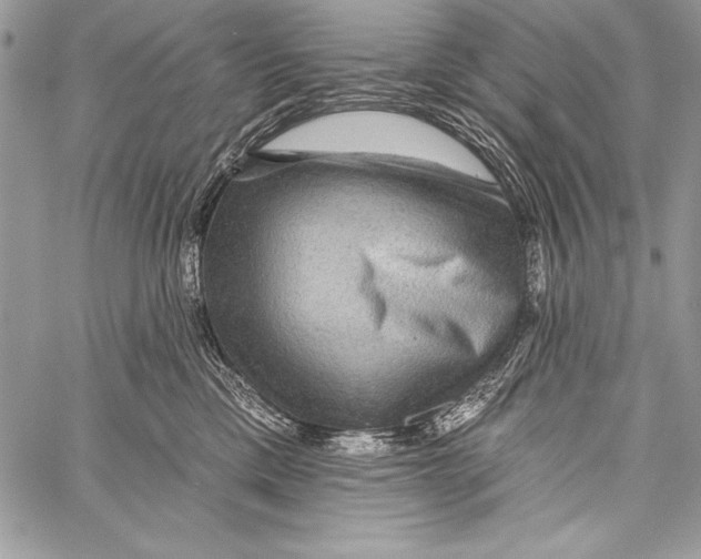 X0000058120425200510171315