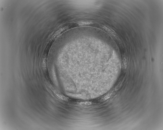 X0000058120426200510171315