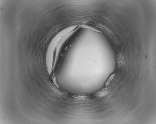 X0000058120428200510171315