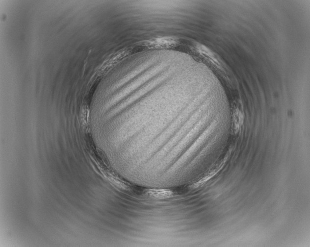 X0000058120429200510171315