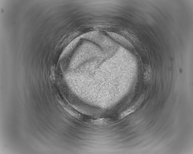 X0000058120430200510171315