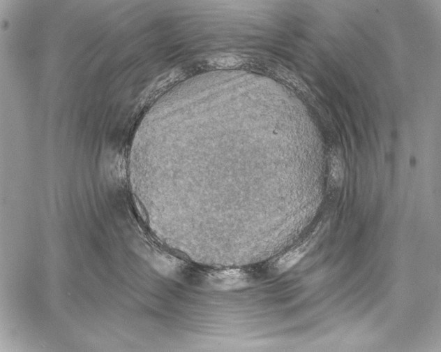 X0000058120431200510171315