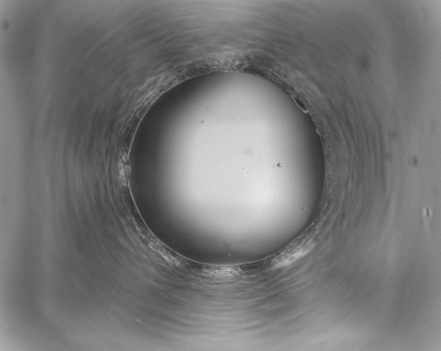 X0000058120432200510171315