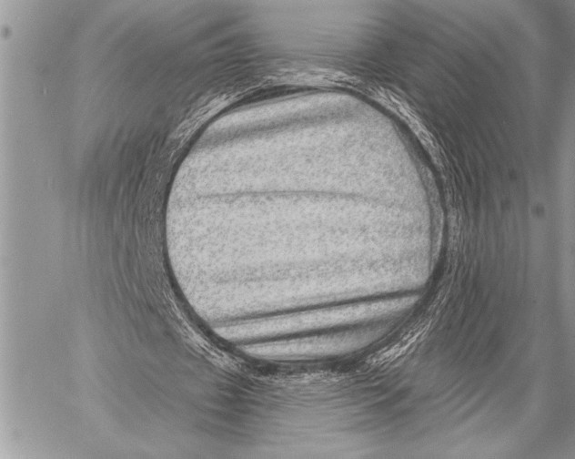 X0000058120433200510171314