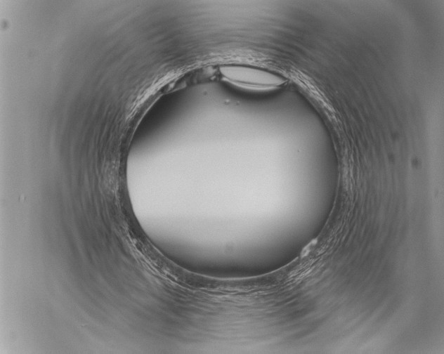 X0000058120434200510171314