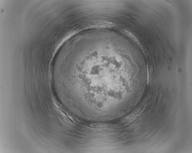 X0000058120435200510171314