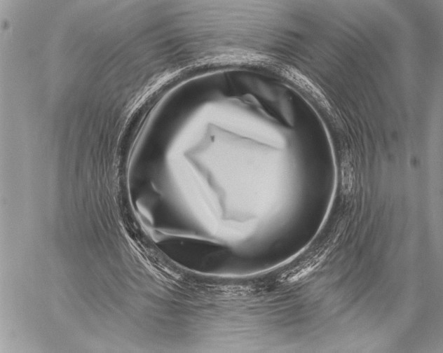 X0000058120436200510171314