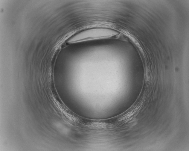 X0000058120437200510171314