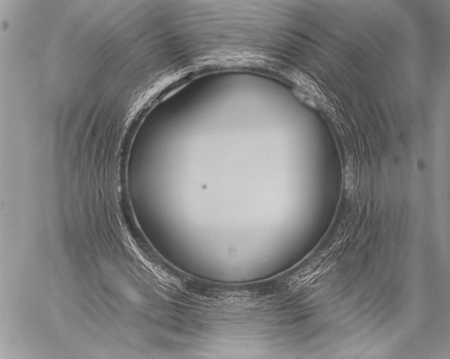 X0000058120438200510171314