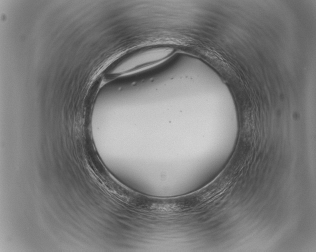 X0000058120440200510171314