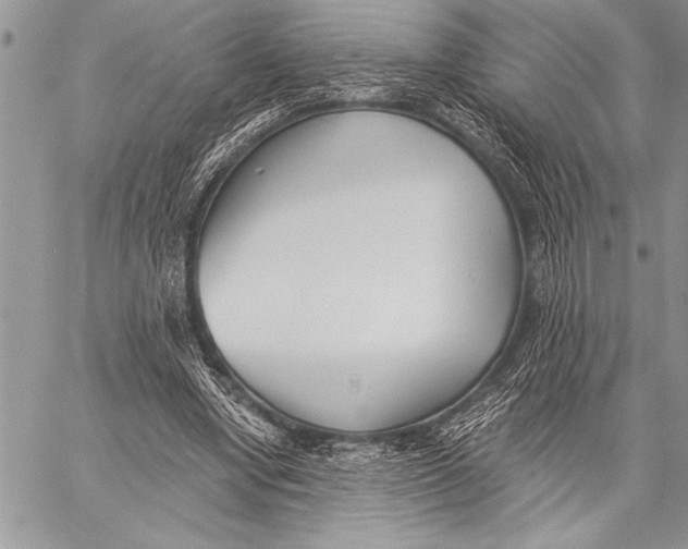 X0000058120442200510171314