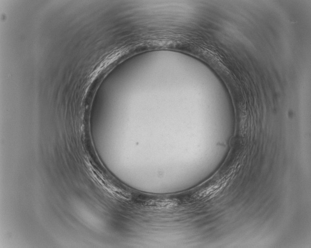 X0000058120443200510171314