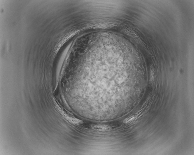 X0000058120444200510171314