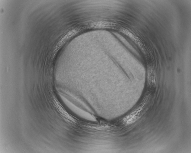 X0000058120445200510171314