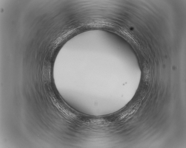 X0000058120446200510171314