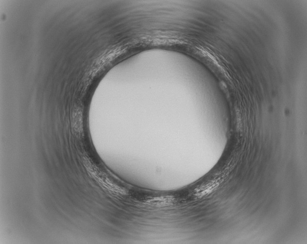 X0000058120447200510171314