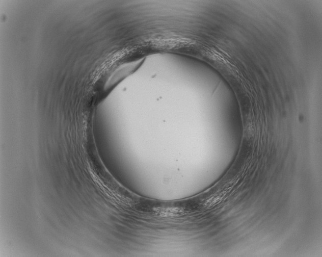 X0000058120448200510171314