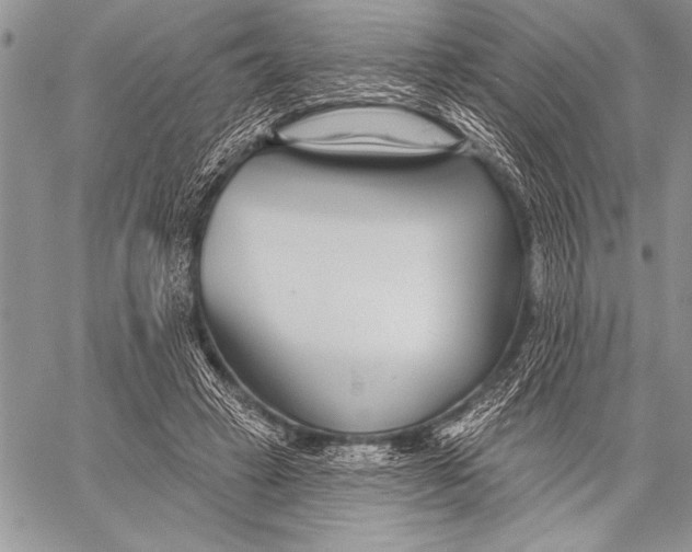 X0000058120449200510171314