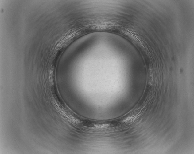 X0000058120450200510171314