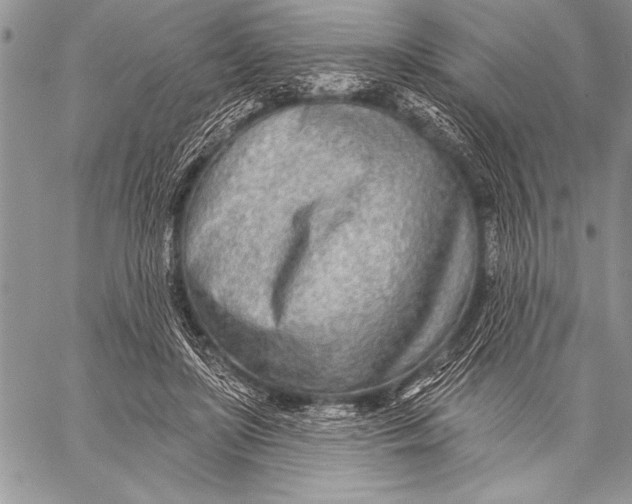 X0000058120451200510171314