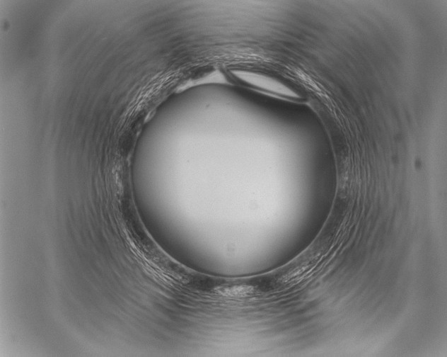 X0000058120452200510171314