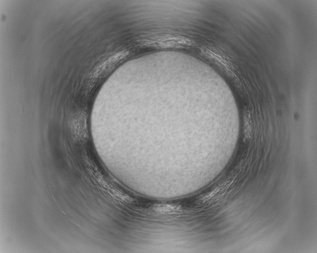 X0000058120453200510171314