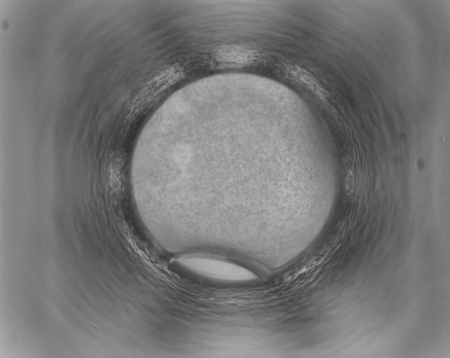 X0000058120455200510171314